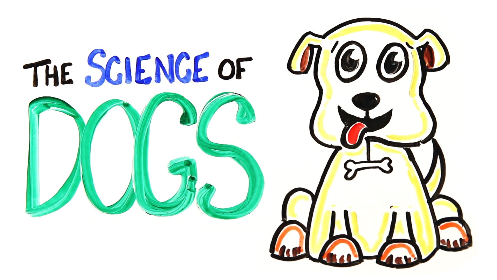 The Science of Dogs